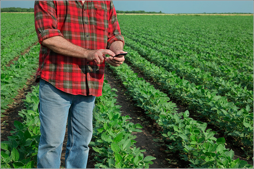 Custo Agrícola da Soja Custo Agrícola da Soja