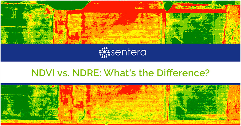 Diferença entre NDRE e NDVI Diferença entre NDRE e NDVI