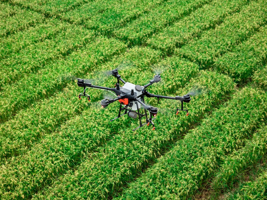 Drone na Fazenda Drone na Fazenda