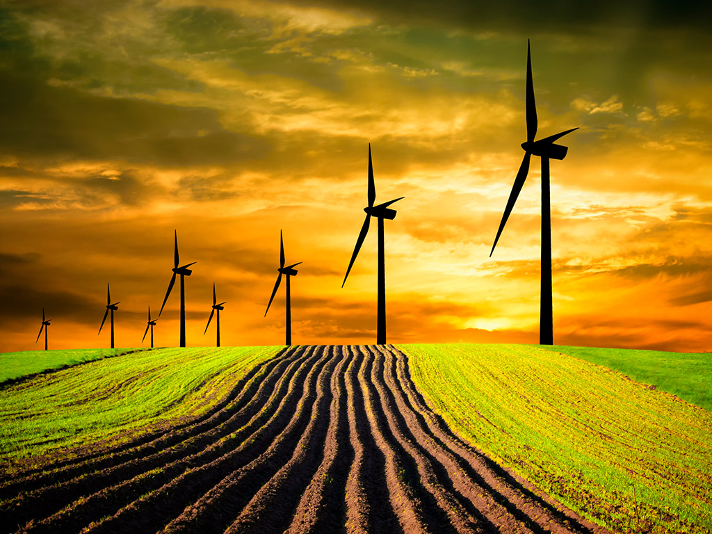 Práticas Sustentáveis na Agricultura Práticas Sustentáveis na Agricultura