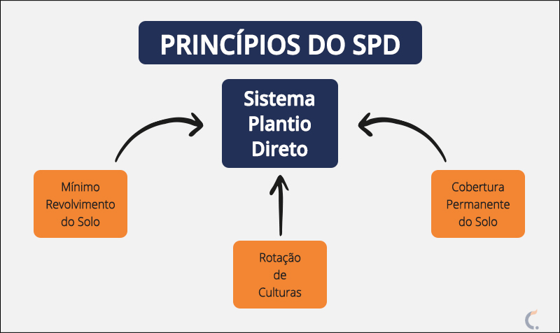 Princípios do Sistema de Plantio Direto
